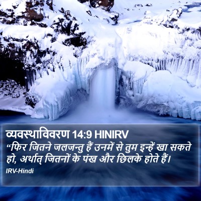 व्यवस्थाविवरण 14:9 HINIRV Bible Verse Image