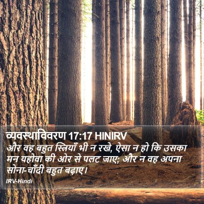व्यवस्थाविवरण 17:17 HINIRV Bible Verse Image