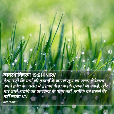 व्यवस्थाविवरण 19:6 HINIRV Bible Verse Image