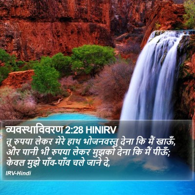 व्यवस्थाविवरण 2:28 HINIRV Bible Verse Image