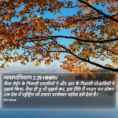 व्यवस्थाविवरण 2:29 HINIRV Bible Verse Image