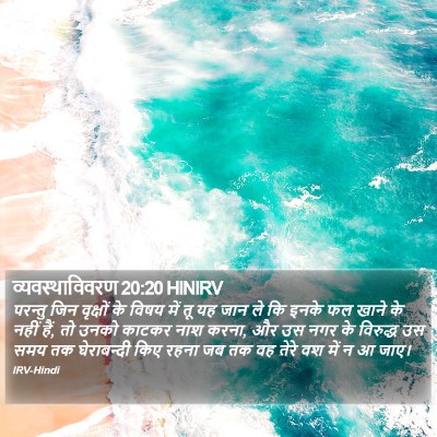 व्यवस्थाविवरण 20:20 HINIRV Bible Verse Image