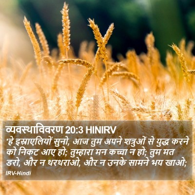 व्यवस्थाविवरण 20:3 HINIRV Bible Verse Image