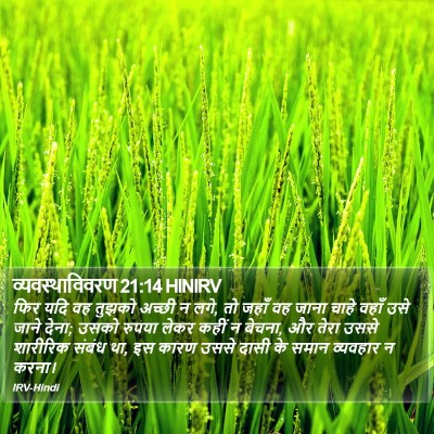 व्यवस्थाविवरण 21:14 HINIRV Bible Verse Image