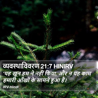 व्यवस्थाविवरण 21:7 HINIRV Bible Verse Image