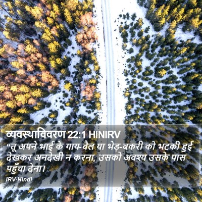 व्यवस्थाविवरण 22:1 HINIRV Bible Verse Image