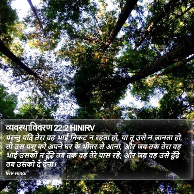 व्यवस्थाविवरण 22:2 HINIRV Bible Verse Image