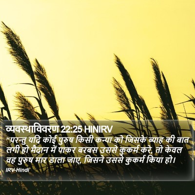 व्यवस्थाविवरण 22:25 HINIRV Bible Verse Image