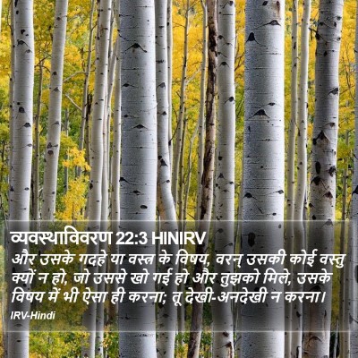 व्यवस्थाविवरण 22:3 HINIRV Bible Verse Image