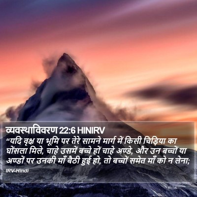 व्यवस्थाविवरण 22:6 HINIRV Bible Verse Image