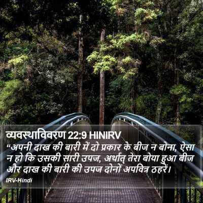 व्यवस्थाविवरण 22:9 HINIRV Bible Verse Image