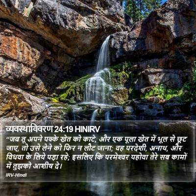 व्यवस्थाविवरण 24:19 HINIRV Bible Verse Image