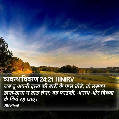 व्यवस्थाविवरण 24:21 HINIRV Bible Verse Image