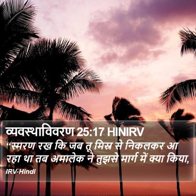 व्यवस्थाविवरण 25:17 HINIRV Bible Verse Image