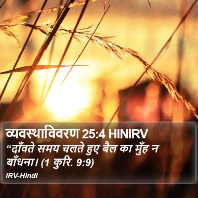 व्यवस्थाविवरण 25:4 HINIRV Bible Verse Image