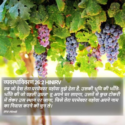 व्यवस्थाविवरण 26:2 HINIRV Bible Verse Image