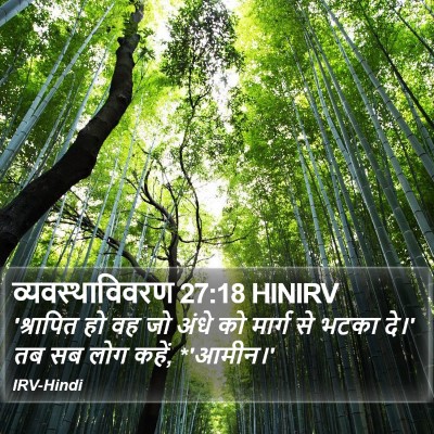 व्यवस्थाविवरण 27:18 HINIRV Bible Verse Image
