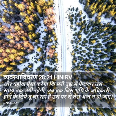 व्यवस्थाविवरण 28:21 HINIRV Bible Verse Image