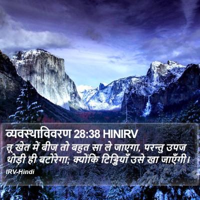 व्यवस्थाविवरण 28:38 HINIRV Bible Verse Image