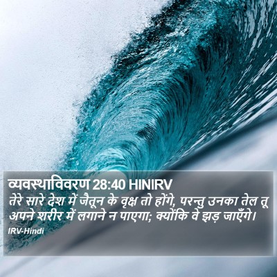 व्यवस्थाविवरण 28:40 HINIRV Bible Verse Image