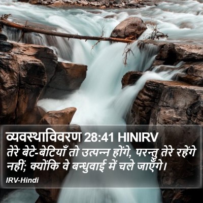 व्यवस्थाविवरण 28:41 HINIRV Bible Verse Image