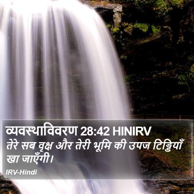 व्यवस्थाविवरण 28:42 HINIRV Bible Verse Image