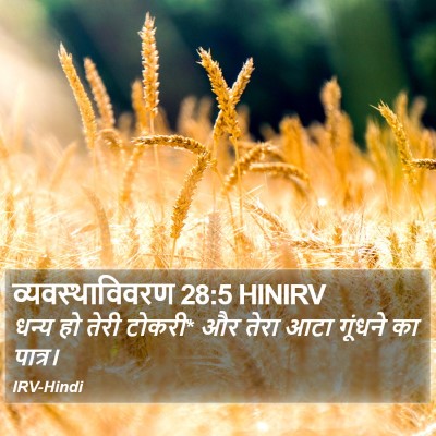 व्यवस्थाविवरण 28:5 HINIRV Bible Verse Image