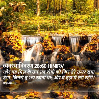 व्यवस्थाविवरण 28:60 HINIRV Bible Verse Image