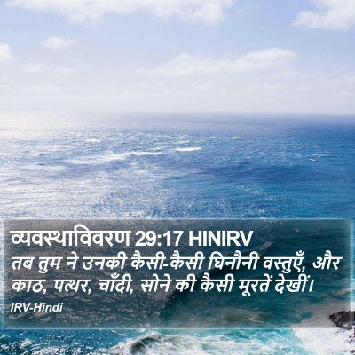 व्यवस्थाविवरण 29:17 HINIRV Bible Verse Image