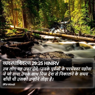 व्यवस्थाविवरण 29:25 HINIRV Bible Verse Image