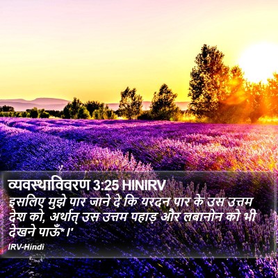 व्यवस्थाविवरण 3:25 HINIRV Bible Verse Image