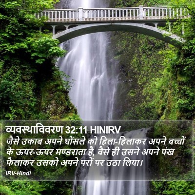 व्यवस्थाविवरण 32:11 HINIRV Bible Verse Image