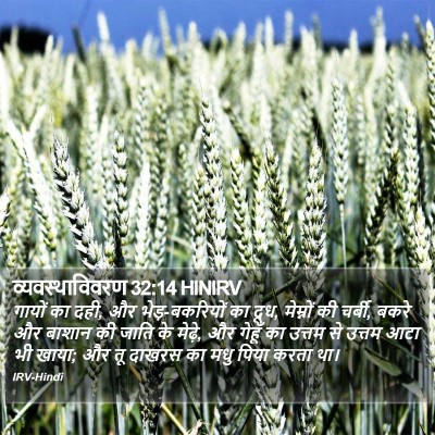 व्यवस्थाविवरण 32:14 HINIRV Bible Verse Image