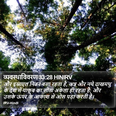 व्यवस्थाविवरण 33:28 HINIRV Bible Verse Image