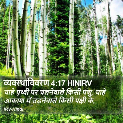 व्यवस्थाविवरण 4:17 HINIRV Bible Verse Image
