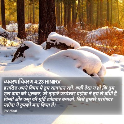 व्यवस्थाविवरण 4:23 HINIRV Bible Verse Image