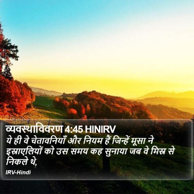 व्यवस्थाविवरण 4:45 HINIRV Bible Verse Image