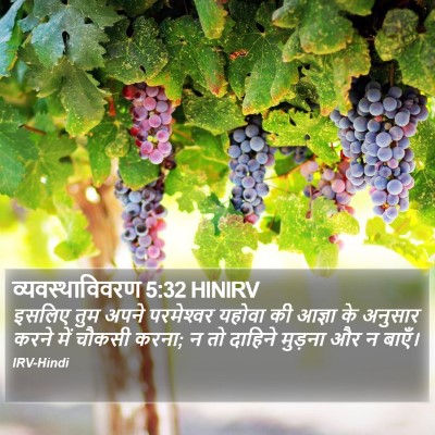 व्यवस्थाविवरण 5:32 HINIRV Bible Verse Image