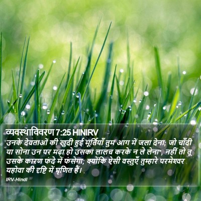 व्यवस्थाविवरण 7:25 HINIRV Bible Verse Image
