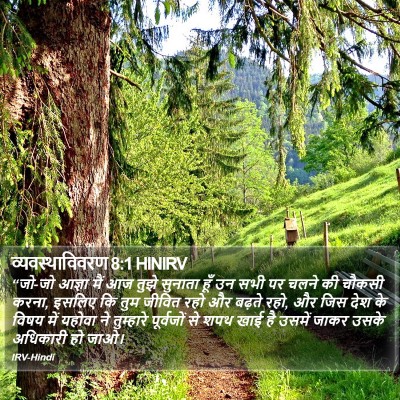 व्यवस्थाविवरण 8:1 HINIRV Bible Verse Image
