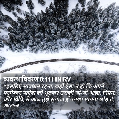 व्यवस्थाविवरण 8:11 HINIRV Bible Verse Image