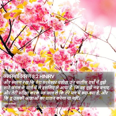 व्यवस्थाविवरण 8:2 HINIRV Bible Verse Image