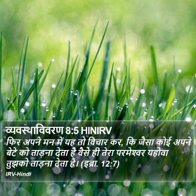 व्यवस्थाविवरण 8:5 HINIRV Bible Verse Image