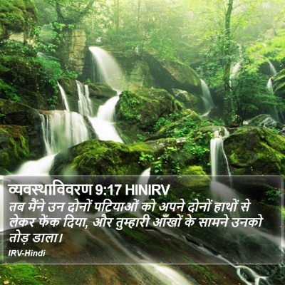 व्यवस्थाविवरण 9:17 HINIRV Bible Verse Image