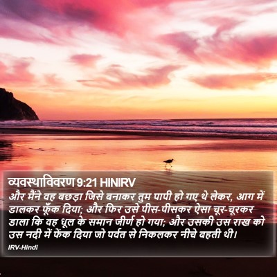 व्यवस्थाविवरण 9:21 HINIRV Bible Verse Image