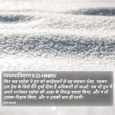 व्यवस्थाविवरण 9:23 HINIRV Bible Verse Image