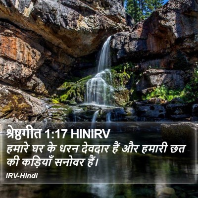 श्रेष्ठगीत 1:17 HINIRV Bible Verse Image