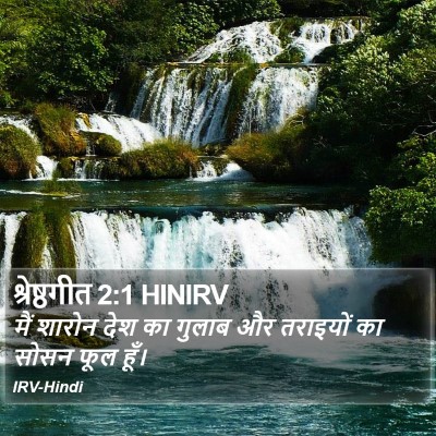 श्रेष्ठगीत 2:1 HINIRV Bible Verse Image