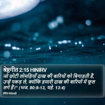 श्रेष्ठगीत 2:15 HINIRV Bible Verse Image