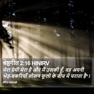 श्रेष्ठगीत 2:16 HINIRV Bible Verse Image
